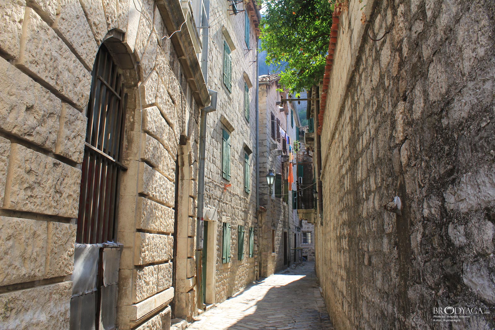 Kotor
